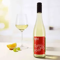 Weingut Wurm 2023 Wurm Rocking Mountains Riesling feinherb 2023 Riesling Deutschland