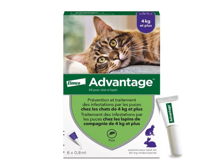Advantage® Cat – Traitement Anti-Puces pour Chats &amp; Lapins – 4 kg et Plus – 6 Pipettes