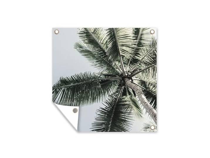 Tuinposter - 200x200 cm - Palmboom - Tropical - Zomer