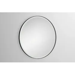 Alape Spiegel FR1000.R1 6746001 verspiegelt