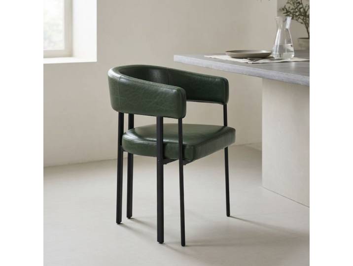CollaHausse Chaise Moderne Simili Cuir Vert Dossier Incurvé Métal Cuisine Salon