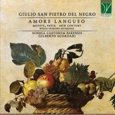 Amore Langueo,Motets,Pavia,16TH Century [world - Thoma Gilberto Scordari Schola Cantorum Barensis, CD