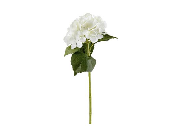 Mica Hortensie Weiss 51 cm
