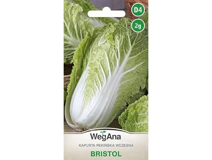 WegAna Chinese kool Bristol zaden 2g zaden, Robuuste groentezaden, Groentezaden, Kweekzaden