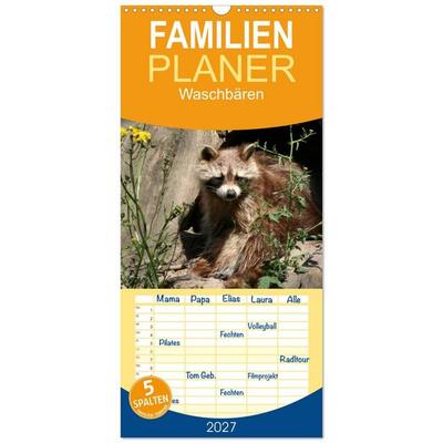Familienplaner 2027 - Waschbären mit 5 Spalten (Wandkalender, 21 x 45 cm) CALVENDO