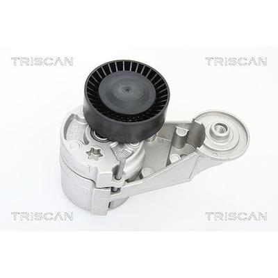 Triscan Spannarm, Keilrippenriemen [Hersteller-Nr. 8641273002] für Volvo