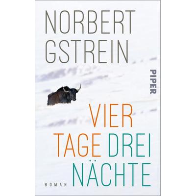 Vier Tage, drei Nächte, Taschenbuch von Norbert Gstrein, Piper Taschenbuch, 978-3-492-31971-3