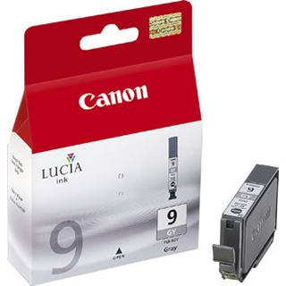Canon Tinte PGI-9GY 1042B001 grau