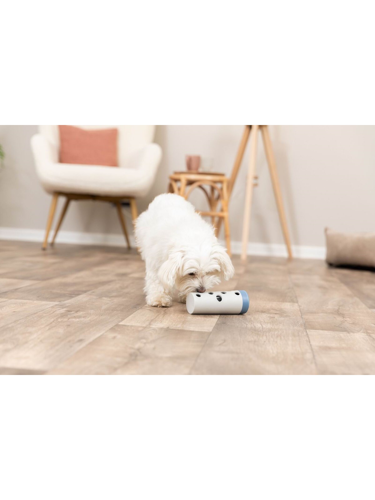 Trixie Hundeaktivitätsspielzeug Snack-Rolle