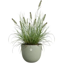 Elho, Blumentopf, Pflanzentopf Sereh Rund 25 cm Grün (25 x 21 cm)