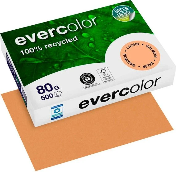 Clairefontaine Recyclingpapier Evercolor lachs DIN A4 80 g/qm 500 Blatt