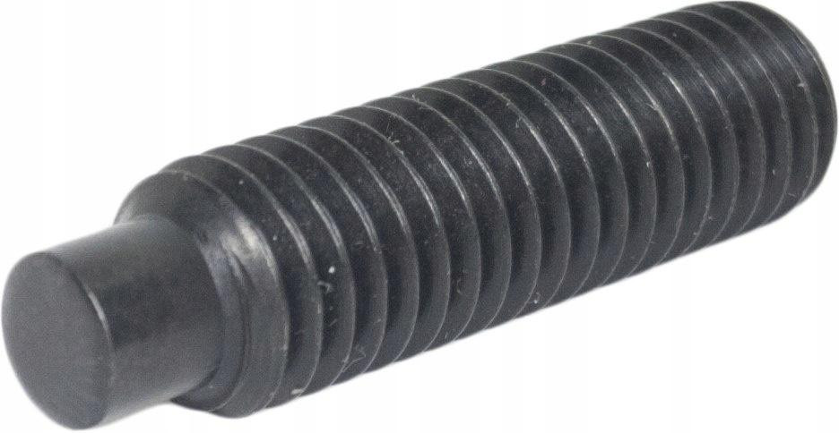 Neron M16x20 inbusbout zonder kop, zwart, conform DIN 915