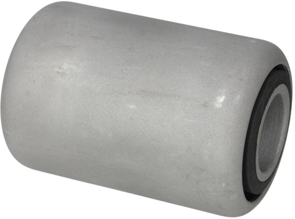 Silentbloc de ressort S-TR 120905