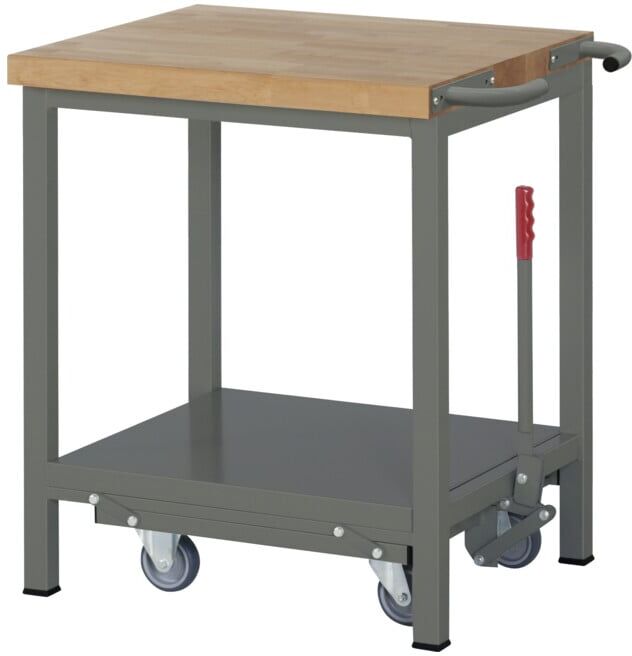 Etabli STIER Premium avec châssis roulant abaissable, lxPxH 750x700x880 mm (904804)