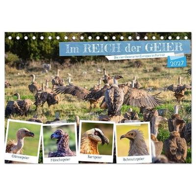 Im REICH der GEIER - Die 4 Geierarten Europas im Portrait (Tischkalender 2027 DIN A5 quer), CALVENDO Monatskalender