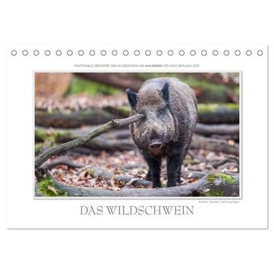 Emotionale Momente: Das Wildschwein. (Tischkalender 2027 DIN A5 quer), CALVENDO Monatskalender
