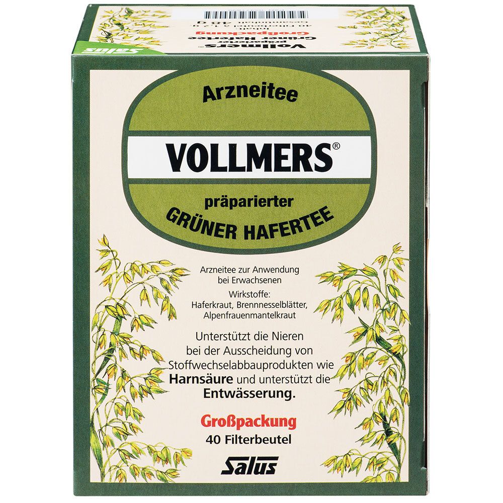 Vollmers präparierter grüner Hafertee Filterbeutel 40 St