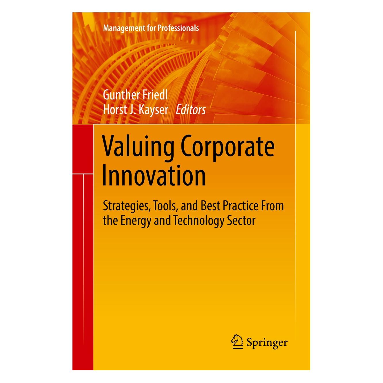 Springer Friedl:Valuing Corporate Innovation (Englisch, Hardcover, Gunther Friedl, Horst J. Kayser) (9783319648637)