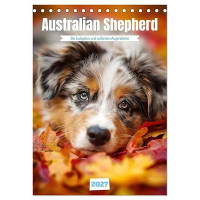 Australian Shepherd (Tischkalender 2027 DIN A5 hoch), CALVENDO Monatskalender