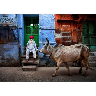 Fototapete PAPERMOON "Photo-Art FADHEL ALMUTAGHAWI, INDIEN", bunt, B:4m L:2,6m, Vlies, Tapeten