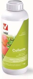 Vebi Collante