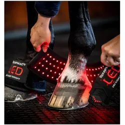 Horseware, Pferdebeinschutz, (One Size)