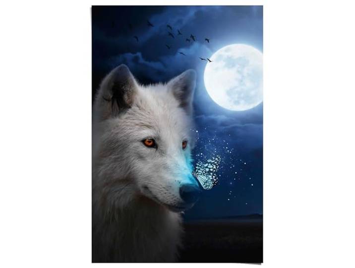 Poster Witte Wolf 91,5 x 61