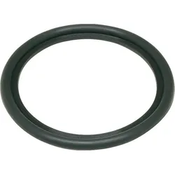 Boiler Dichtung Boilerdichtung für Buderus Warmwasserspeicher Dichtring WL 130-200 63043454