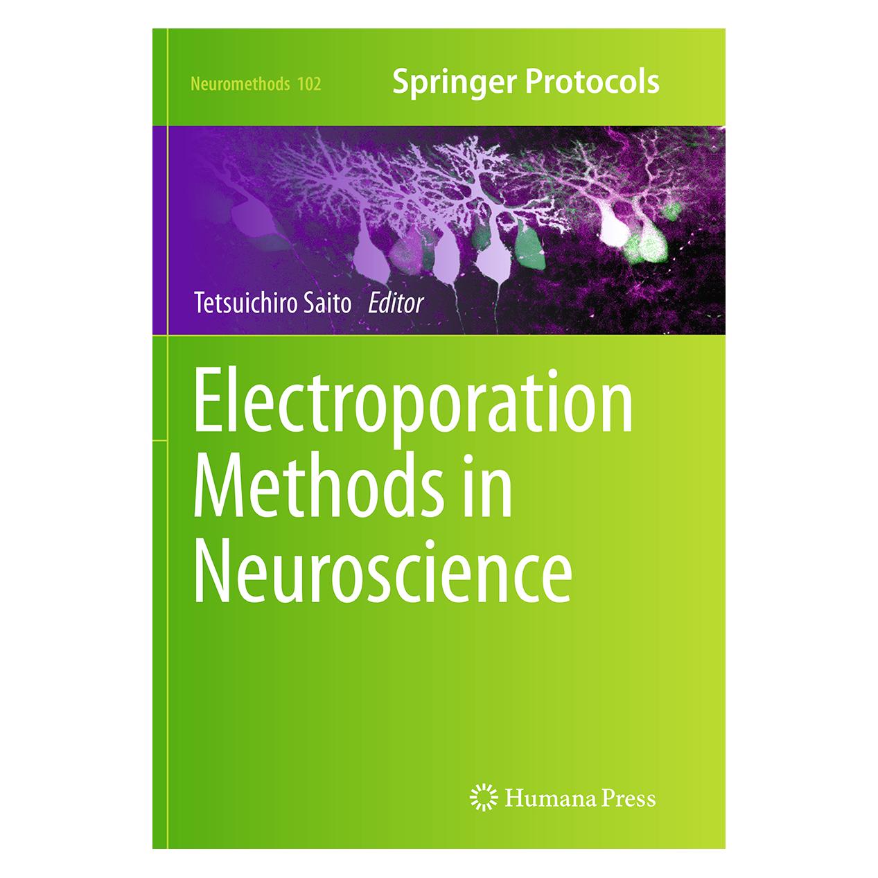 Springer Electroporation Methods in Neuroscience (Englisch, Softcover, Tetsuichiro Saito) (55855727)