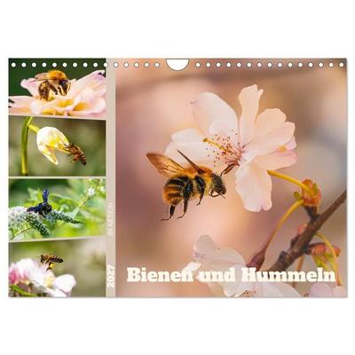 Bienen und Hummeln in Aktion (Wandkalender 2027 DIN A4 quer), CALVENDO Monatskalender