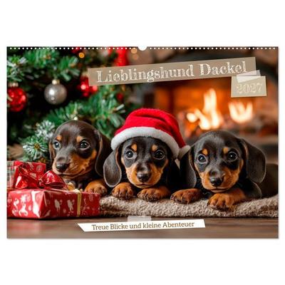 Lieblingshund Dackel (Wandkalender 2027 DIN A2 quer), CALVENDO Monatskalender