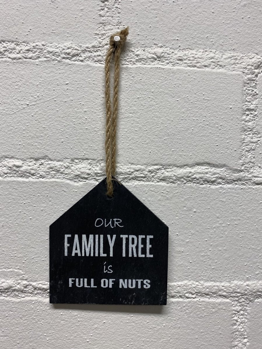 Impuls Deco leisteen met ophangkoordje - Huis - Our family tree is full of nuts - 10 x 9 cm