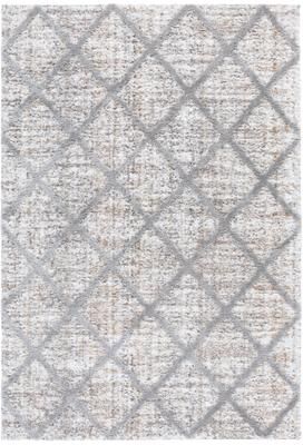 SAFAVIEH Everett Shag Ljubomira 1-inch Thick Rug