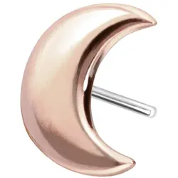 14 Karat Gold Aufsatz mit Titan Push Pin MOND