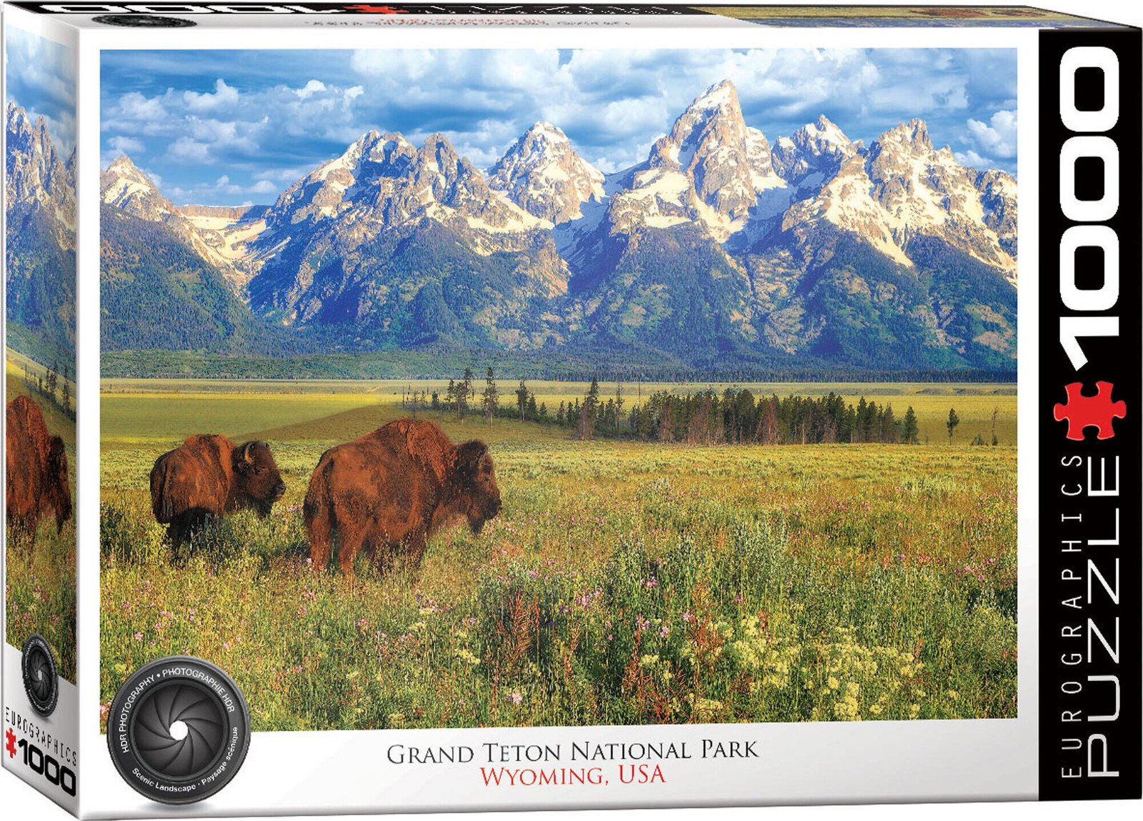 Empireposter 1000 delen puzzel Grand Teton National Park