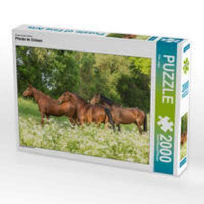 CALVENDO Puzzle Ein Motiv aus dem Kalender Pferde im Grünen 2000 Teile Puzzle quer | 2000 Teile Lege-Größe 90 × 67 cm Foto-Puzzle für glückliche