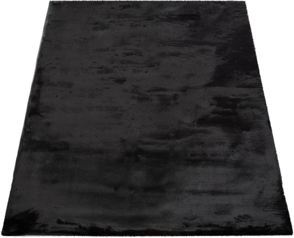 Canora Grey Thrapst Shaggy Area Rug Black Rectangle 60cm x 90cm