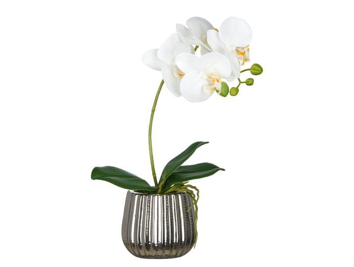 Kunstblume Phalaenopsis Typ F 36cm