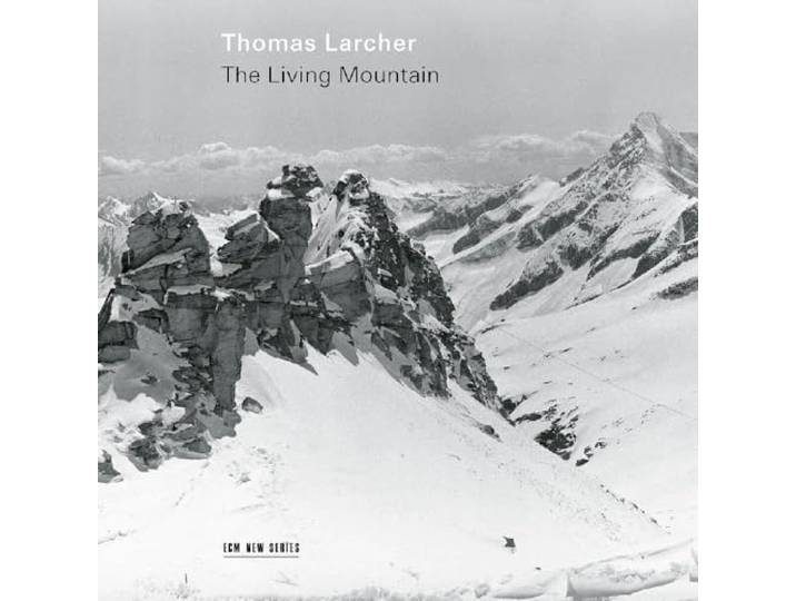 The Living Mountain