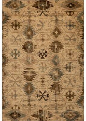 Domani Chandra Southwestern Medallion Area Rug