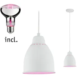 Paulmann 5117 Neordic Hilla Pendelleuchte 6,5W E27 Weiß 230V Metall