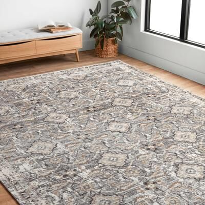 Alexander Home Giovanni Vintage Transitional Area Rug