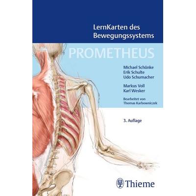 PROMETHEUS LernKarten des Bewegungssystems, Sonstige von Michael Schünke,Erik Schulte,Udo Schumacher, Thieme, 978-3-13-245785-0