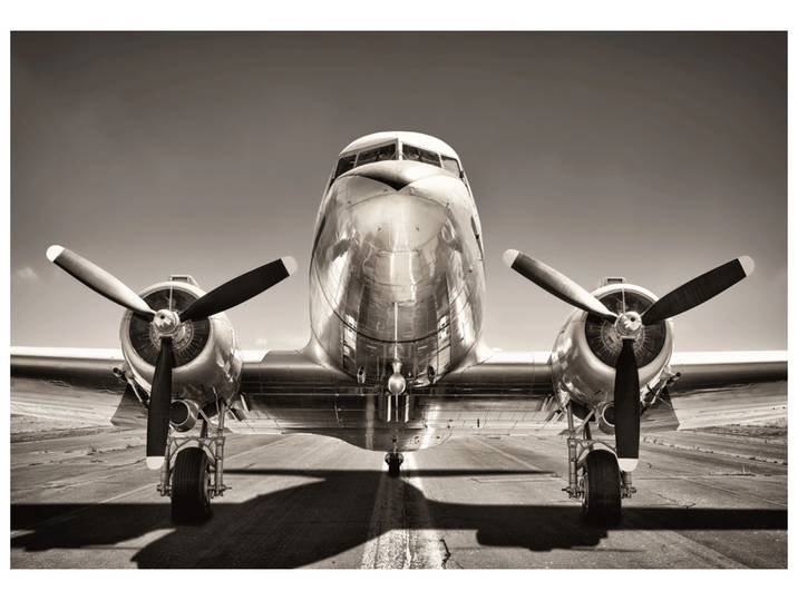 Alubild Flugzeug 2 image LAND