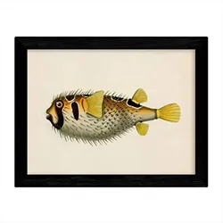 POSTER Fish – Vintage A3 Rahmenlos