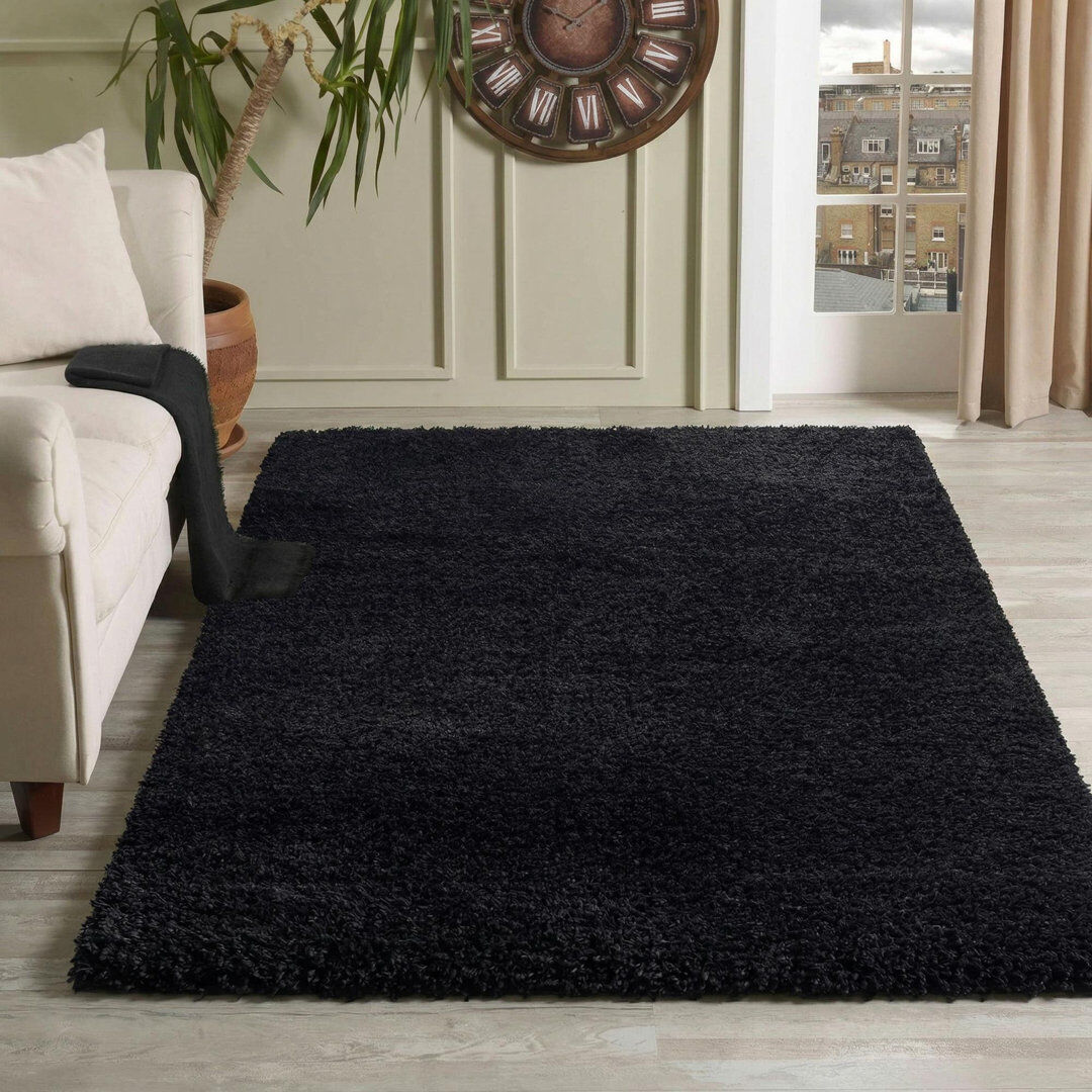 Hashtag Home Esterly Shaggy Black Area Rug Black Rectangle 120 x 170cm