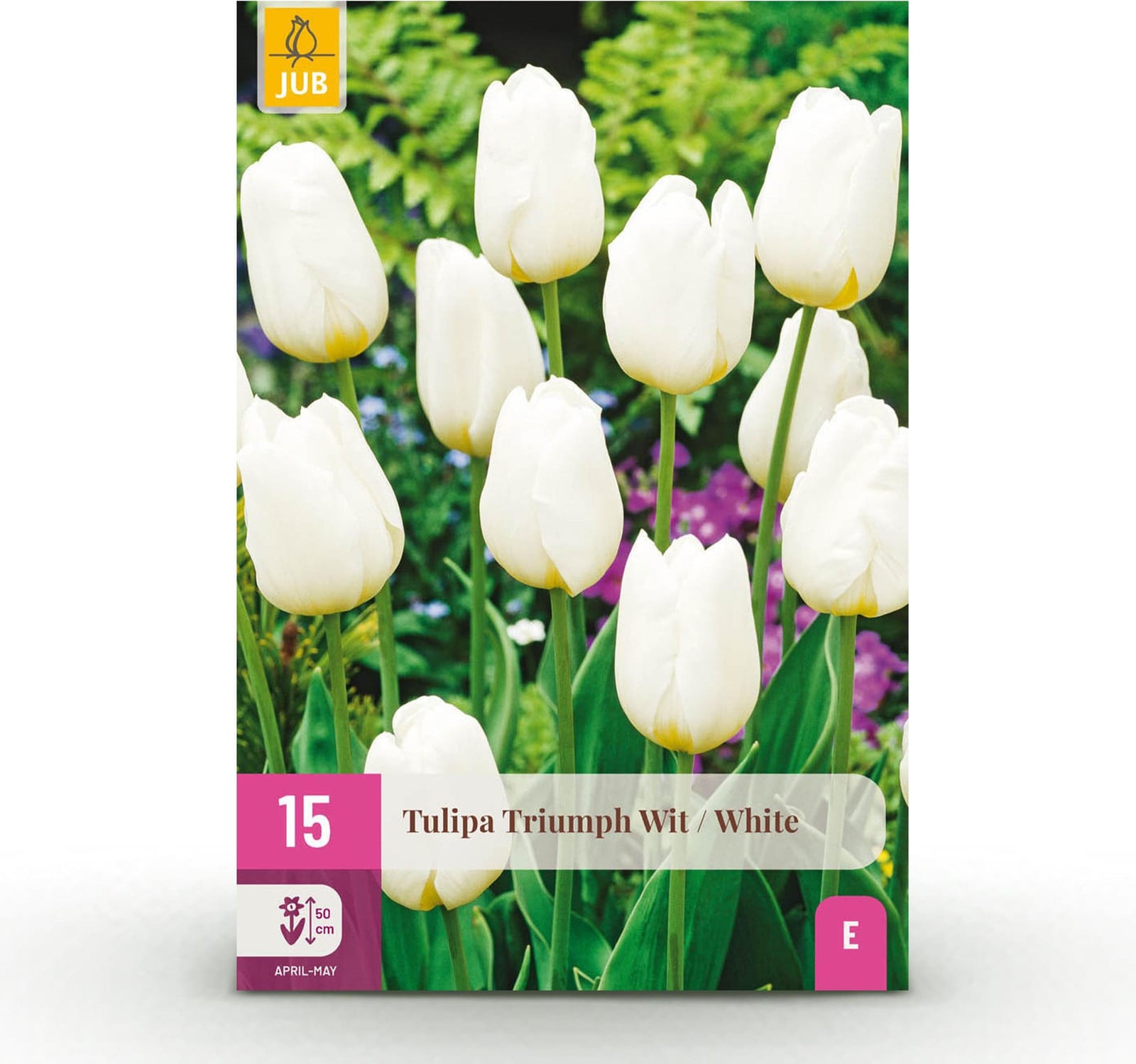 Tulp Triumph White bloembollen - Wit - 15 stuks - Multideal