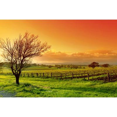 Fototapete PAPERMOON "Landschaft", bunt, B:3,5m L:2,6m, Vlies, Tapeten