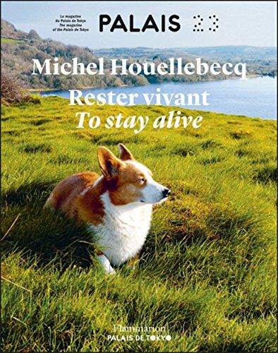 Michel Houellebecq - Palais, n° 23. Michel Houellebecq : rester vivant. Michel Houellebecq : to stay alive - Preis vom 17.10.2026 19:25:27 h