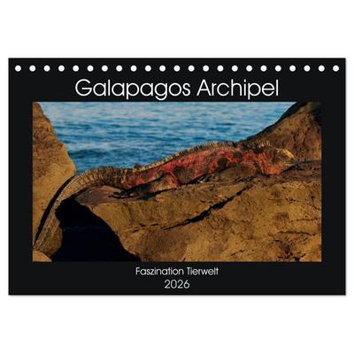 Galapagos Archipel- Faszination Tierwelt (Tischkalender 2026 DIN A5 quer), CALVENDO Monatskalender